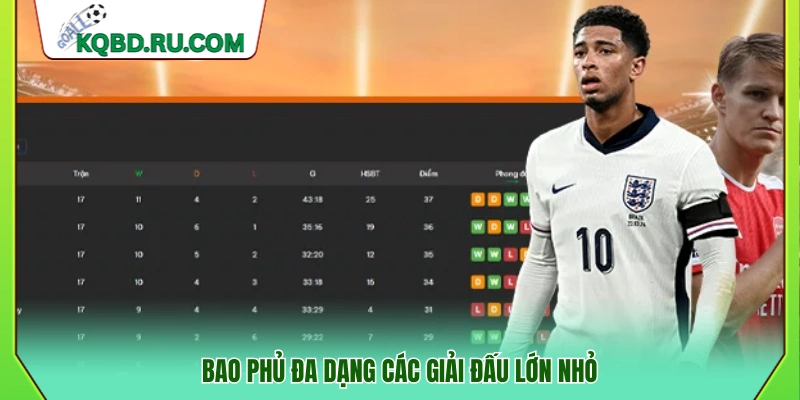 Hệ thống xếp hạng bao gồm nhiều giải đấu lớn và nhỏ
